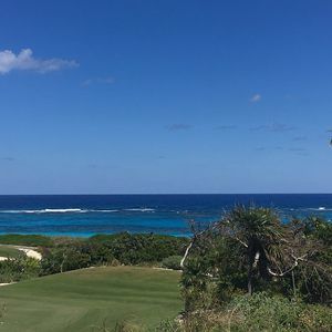 Meet your Posher, Mary chaney